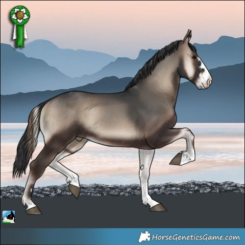 Horse Color:Blue Onyx Rabicano 