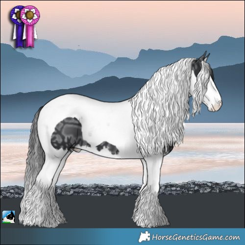 Horse Color:Black Ice Splash Tobiano 