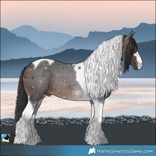 Horse Color:Brown Tobiano