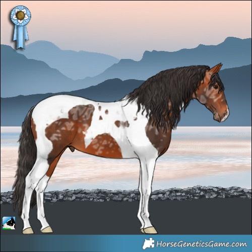 Horse Color:Bay Ice Tobiano 