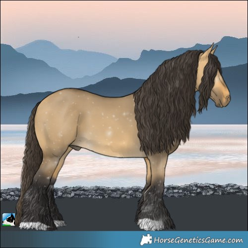 Horse Color:Buckskin Dun 