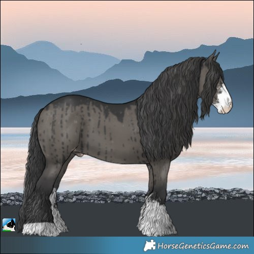 Horse Color:Grullo Sabino Appaloosa Brindle 