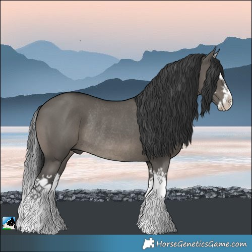 Horse Color:Grullo Splash Rabicano 