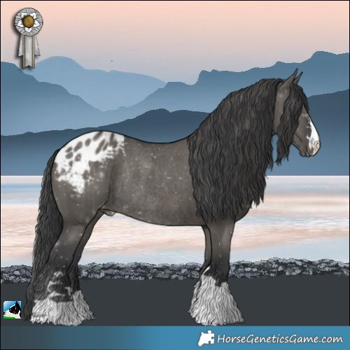 Horse Color:Grullo Appaloosa Rabicano Brindle 