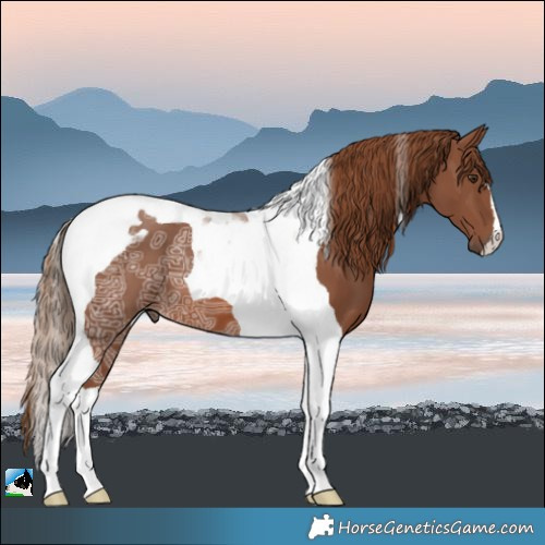 Horse Color:Chestnut Ice Tobiano