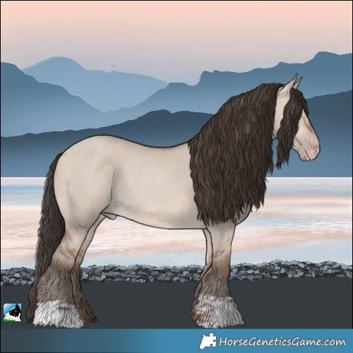 Horse Color:Sable Champagne Dun Rabicano 