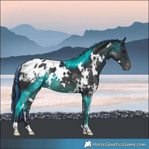 Horse Color:Painted White Spotted Brown Varnish 