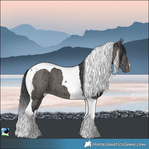Horse Color:Grullo Tobiano Appaloosa Brindle 