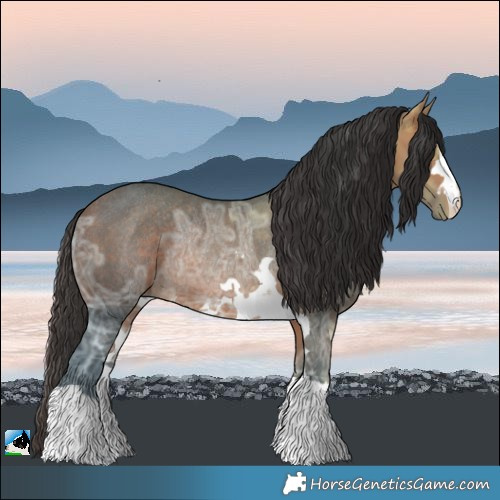 Horse Color:Bay Ice Rabicano