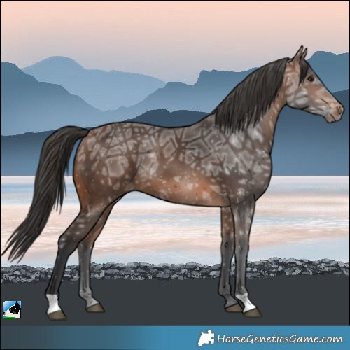 Horse Color:Brown Ice 