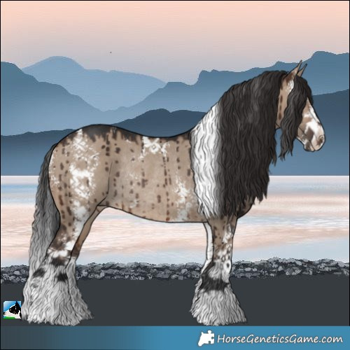 Horse Color:Brown Dun Sabino Rabicano Brindle 