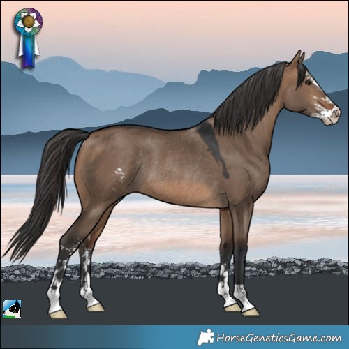 Horse Color:Brown Dun Sabino Rabicano