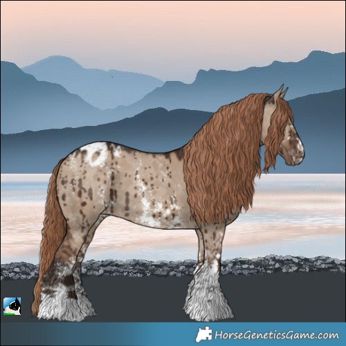 Horse Color:Liver Red Dun Sabino Appaloosa Brindle 