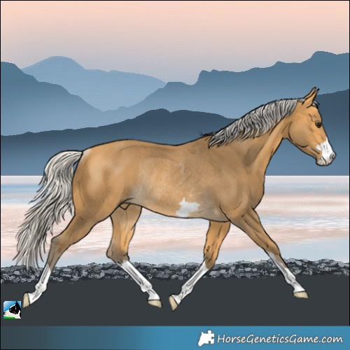 Horse Color:Silver Buckskin Rabicano