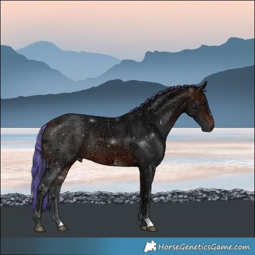 Horse Color:Painted Brown Ice