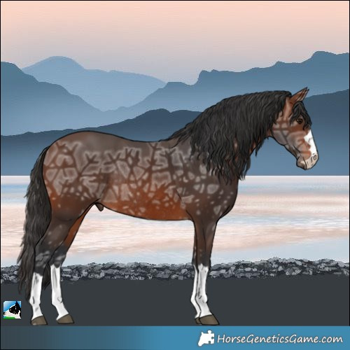 Horse Color:Brown Ice Rabicano 
