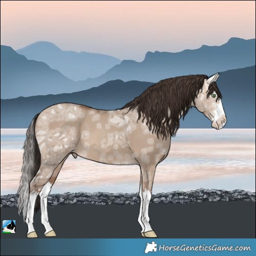 Horse Color:Sable Champagne Ice Dun Sabino Splash 
