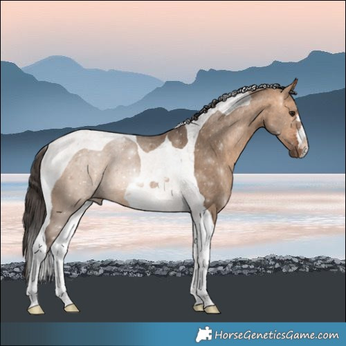 Horse Color:Bay Dun Tobiano 