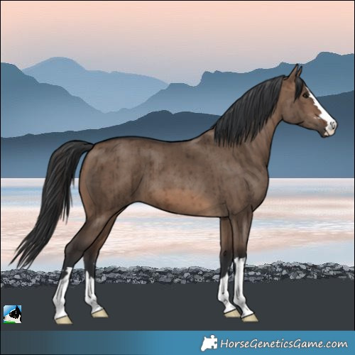 Horse Color:Brown Dun Brindle 