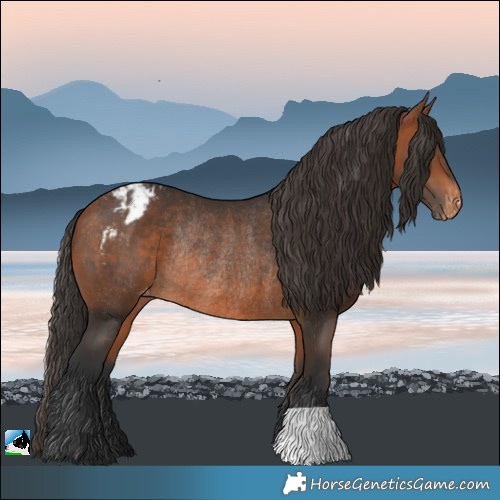 Horse Color:Bay Varnish Rabicano 
