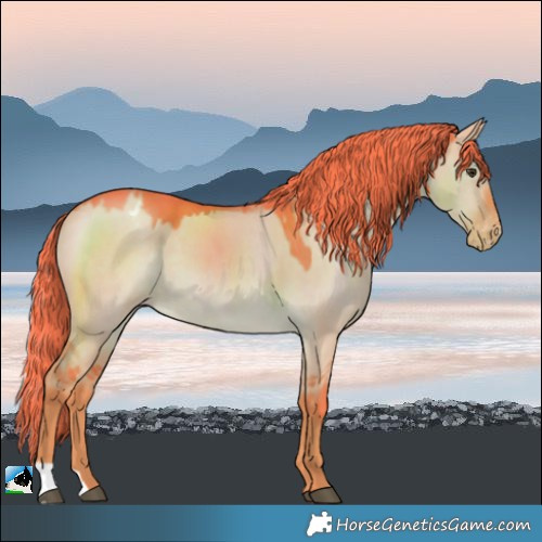 Horse Color:Watercolor Liver Red Dun Varnish 