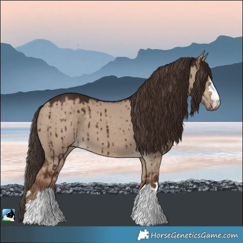 Horse Color:Liver Red Dun Brindle 