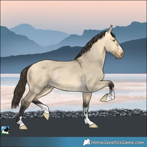 Horse Color:Buckskin Dun Mushroom Rabicano