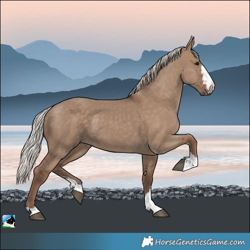 Horse Color:Silver Grullo 