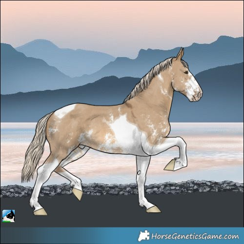 Horse Color:Chocolate Palomino Dun Sabino Tobiano 