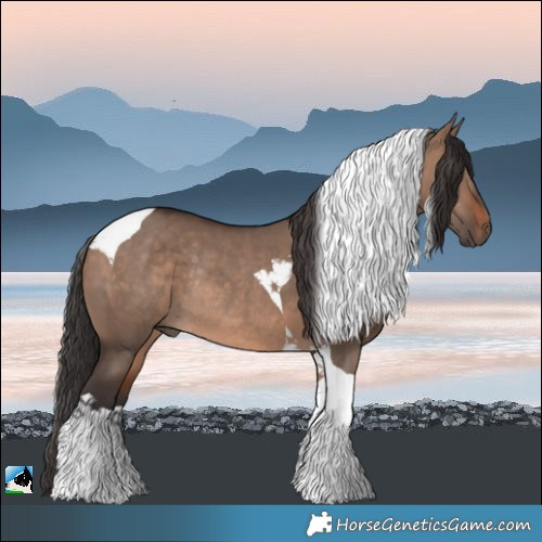Horse Color:Brown Dun Mushroom Tobiano Rabicano 