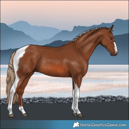 Horse Color:Chestnut Tobiano Rabicano 