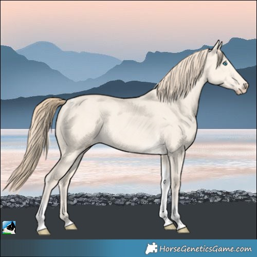 Horse Color:Perlino Dun Tobiano 