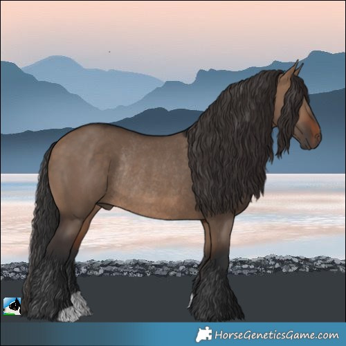 Horse Color:Brown Dun Rabicano