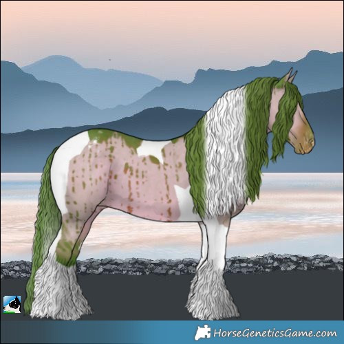 Horse Color:Watercolor Liver Red Dun Tobiano Appaloosa Brindle