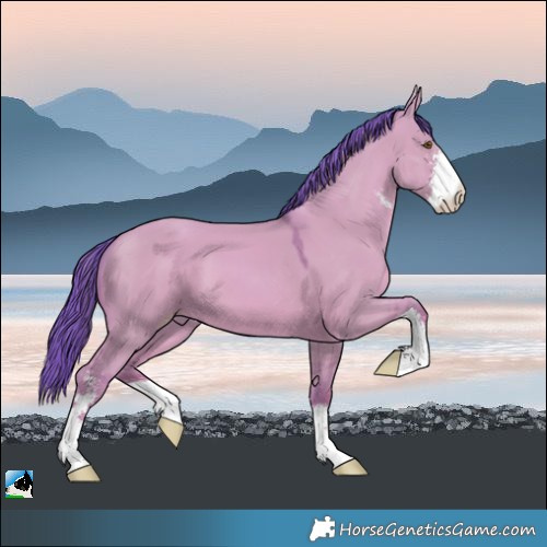 Horse Color:Watercolor Classic Champagne Dun Mushroom Sabino