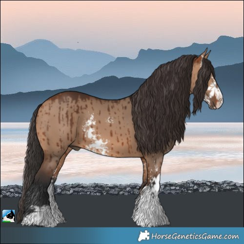 Horse Color:Bay Dun Sabino Brindle 