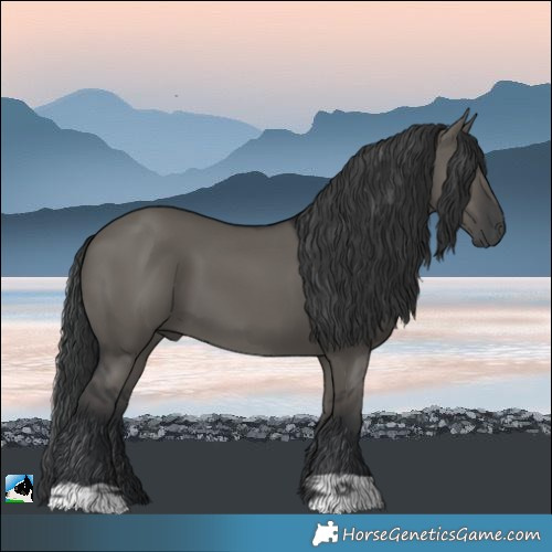 Horse Color:Grullo