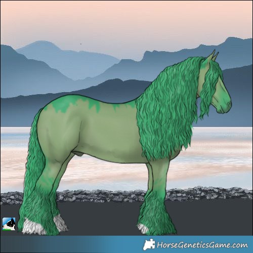 Horse Color:Watercolor Grullo