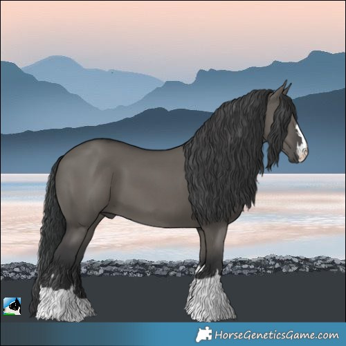 Horse Color:Grullo