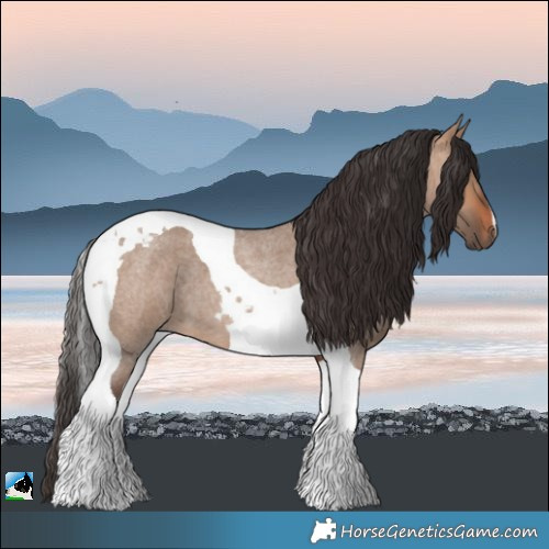 Horse Color:Bay Roan Dun Tobiano 