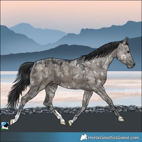 Horse Color:Grullo Ice Brindle 