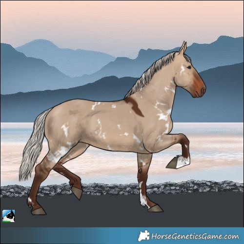 Horse Color:White Spotted Silver Brown Dun