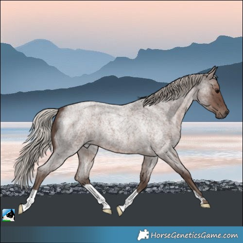 Horse Color:Silver Blue Roan 