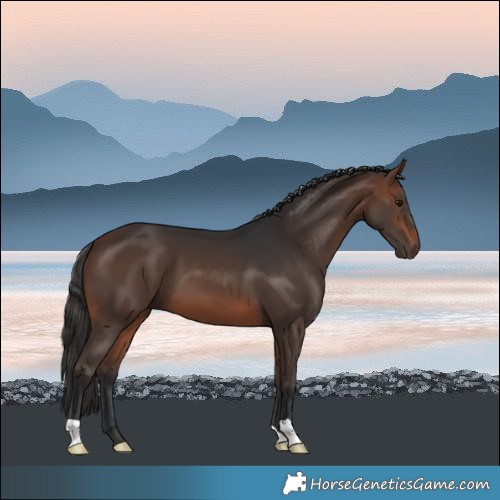 Horse Color:Brown 