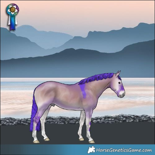 Horse Color:Watercolor Grullo Onyx