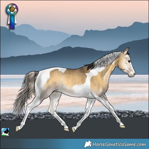 Horse Color:Buckskin Onyx Tobiano Rabicano 