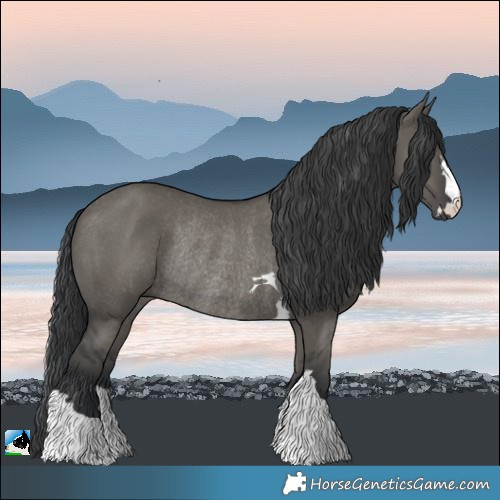 Horse Color:Grullo Rabicano