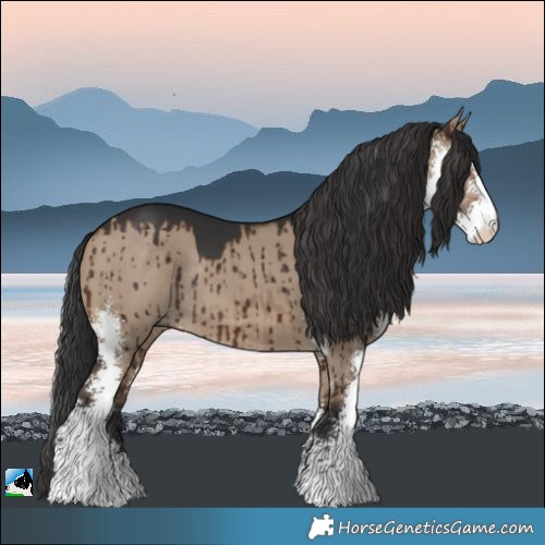 Horse Color:Brown Dun Sabino Rabicano Brindle 