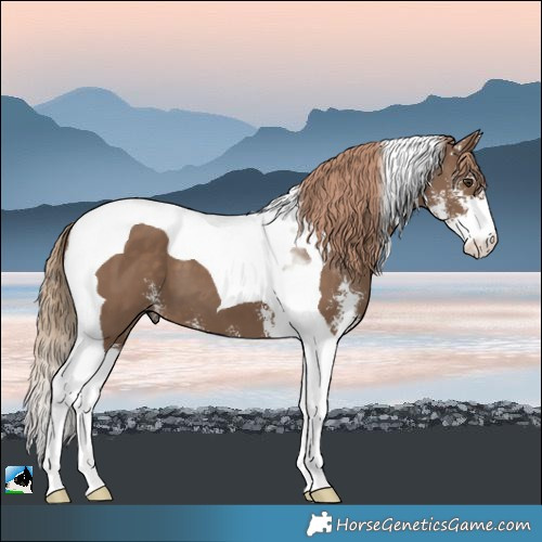 Horse Color:Liver Red Dun Sabino Tobiano 