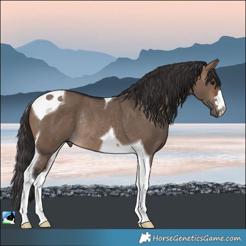 Horse Color:Brown Dun Tobiano Rabicano